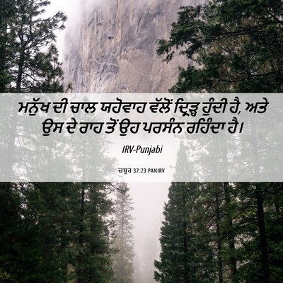 Picture 06 - ਜ਼ਬੂਰ 37:23 PANIRV - ਮਨੁੱਖ ਦੀ ਚਾਲ - Bible Verse Picture
