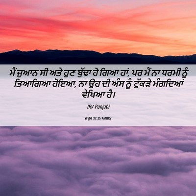 Picture 06 - ਜ਼ਬੂਰ 37:25 PANIRV - ਮੈਂ ਜੁਆਨ ਸੀ ਅਤੇ ਹੁਣ - Bible Verse Picture