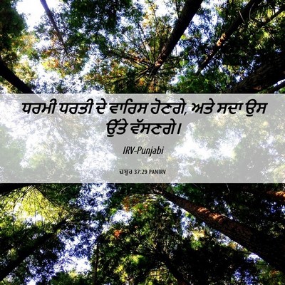 Picture 06 - ਜ਼ਬੂਰ 37:29 PANIRV - ਧਰਮੀ ਧਰਤੀ ਦੇ ਵਾਰਿਸ - Bible Verse Picture