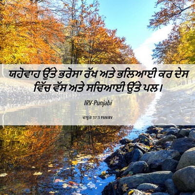 Picture 06 - ਜ਼ਬੂਰ 37:3 PANIRV - ਯਹੋਵਾਹ ਉੱਤੇ ਭਰੋਸਾ - Bible Verse Picture