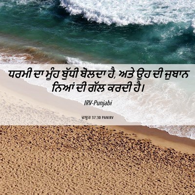 Picture 06 - ਜ਼ਬੂਰ 37:30 PANIRV - ਧਰਮੀ ਦਾ ਮੂੰਹ ਬੁੱਧੀ - Bible Verse Picture