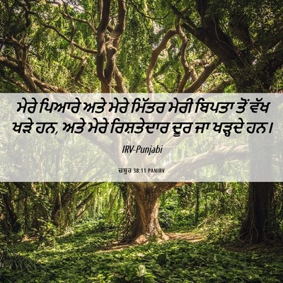 Picture 06 - ਜ਼ਬੂਰ 38:11 PANIRV - ਮੇਰੇ ਪਿਆਰੇ ਅਤੇ - Bible Verse Picture