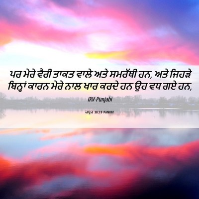 Picture 06 - ਜ਼ਬੂਰ 38:19 PANIRV - ਪਰ ਮੇਰੇ ਵੈਰੀ ਤਾਕਤ - Bible Verse Picture