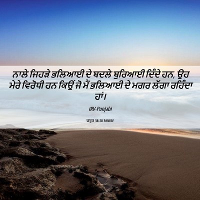Picture 06 - ਜ਼ਬੂਰ 38:20 PANIRV - ਨਾਲੇ ਜਿਹੜੇ ਭਲਿਆਈ - Bible Verse Picture