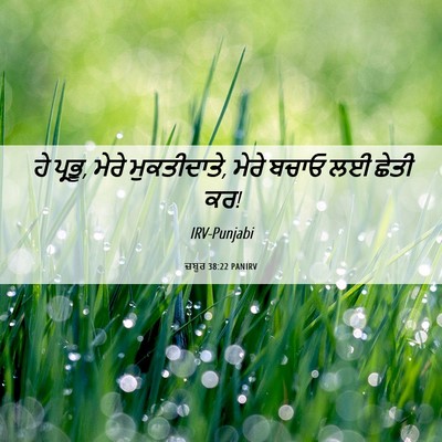 Picture 06 - ਜ਼ਬੂਰ 38:22 PANIRV - ਹੇ ਪ੍ਰਭੂ, ਮੇਰੇ - Bible Verse Picture