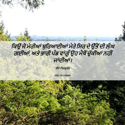 Picture 06 - ਜ਼ਬੂਰ 38:4 PANIRV - ਕਿਉਂ ਜੋ ਮੇਰੀਆਂ - Bible Verse Picture