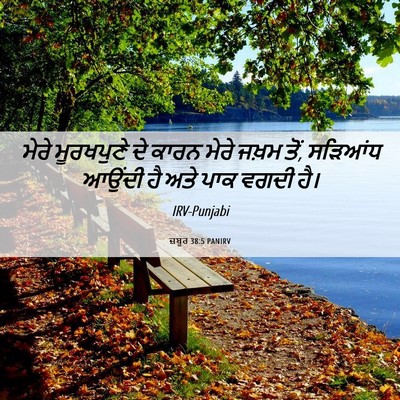 Picture 06 - ਜ਼ਬੂਰ 38:5 PANIRV - ਮੇਰੇ ਮੂਰਖਪੁਣੇ ਦੇ - Bible Verse Picture