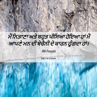 Picture 06 - ਜ਼ਬੂਰ 38:8 PANIRV - ਮੈਂ ਨਿਤਾਣਾ ਅਤੇ - Bible Verse Picture