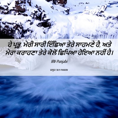Picture 06 - ਜ਼ਬੂਰ 38:9 PANIRV - ਹੇ ਪ੍ਰਭੂ, ਮੇਰੀ ਸਾਰੀ - Bible Verse Picture