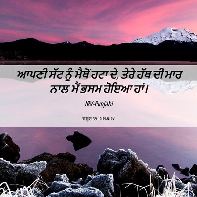 Picture 06 - ਜ਼ਬੂਰ 39:10 PANIRV - ਆਪਣੀ ਸੱਟ ਨੂੰ ਮੈਥੋਂ - Bible Verse Picture