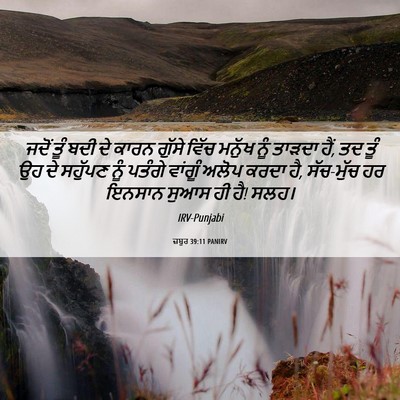 Picture 06 - ਜ਼ਬੂਰ 39:11 PANIRV - ਜਦੋਂ ਤੂੰ ਬਦੀ ਦੇ - Bible Verse Picture