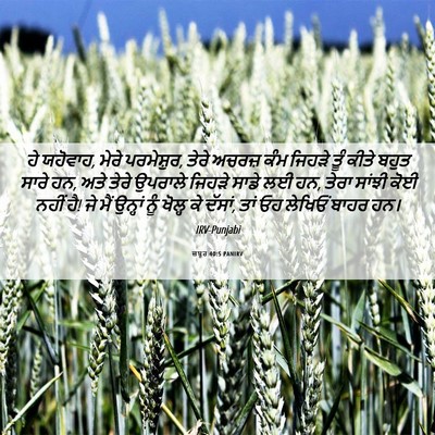 Picture 06 - ਜ਼ਬੂਰ 40:5 PANIRV - ਹੇ ਯਹੋਵਾਹ, ਮੇਰੇ - Bible Verse Picture