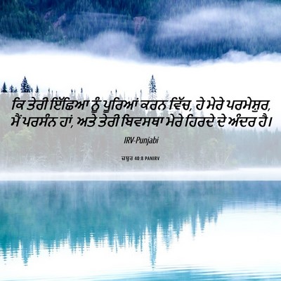 Picture 06 - ਜ਼ਬੂਰ 40:8 PANIRV - ਕਿ ਤੇਰੀ ਇੱਛਿਆ ਨੂੰ - Bible Verse Picture