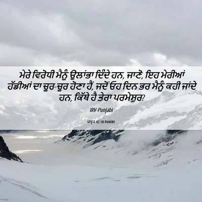 Picture 06 - ਜ਼ਬੂਰ 42:10 PANIRV - ਮੇਰੇ ਵਿਰੋਧੀ ਮੈਨੂੰ - Bible Verse Picture