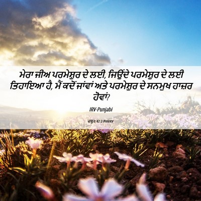 Picture 06 - ਜ਼ਬੂਰ 42:2 PANIRV - ਮੇਰਾ ਜੀਅ ਪਰਮੇਸ਼ੁਰ - Bible Verse Picture