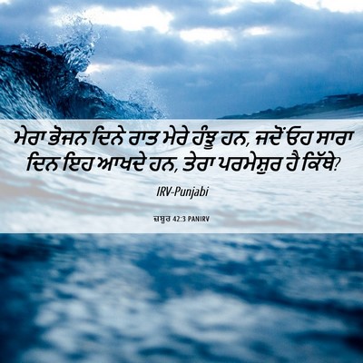 Picture 06 - ਜ਼ਬੂਰ 42:3 PANIRV - ਮੇਰਾ ਭੋਜਨ ਦਿਨੇ ਰਾਤ - Bible Verse Picture