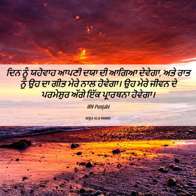 Picture 06 - ਜ਼ਬੂਰ 42:8 PANIRV - ਦਿਨ ਨੂੰ ਯਹੋਵਾਹ - Bible Verse Picture