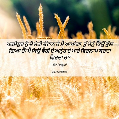 Picture 06 - ਜ਼ਬੂਰ 42:9 PANIRV - ਪਰਮੇਸ਼ੁਰ ਨੂੰ ਜੋ - Bible Verse Picture