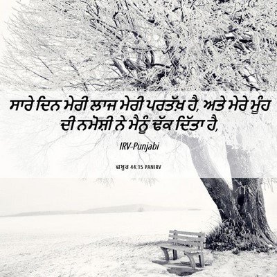 Picture 06 - ਜ਼ਬੂਰ 44:15 PANIRV - ਸਾਰੇ ਦਿਨ ਮੇਰੀ ਲਾਜ - Bible Verse Picture