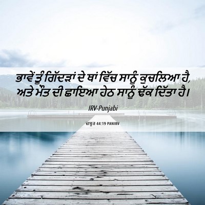 Picture 06 - ਜ਼ਬੂਰ 44:19 PANIRV - ਭਾਵੇਂ ਤੂੰ ਗਿੱਦੜਾਂ - Bible Verse Picture
