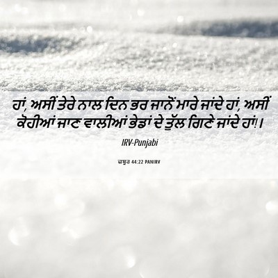 Picture 06 - ਜ਼ਬੂਰ 44:22 PANIRV - ਹਾਂ, ਅਸੀਂ ਤੇਰੇ ਨਾਲ - Bible Verse Picture