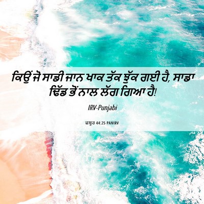 Picture 06 - ਜ਼ਬੂਰ 44:25 PANIRV - ਕਿਉਂ ਜੋ ਸਾਡੀ ਜਾਨ - Bible Verse Picture