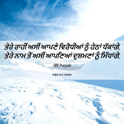 Picture 06 - ਜ਼ਬੂਰ 44:5 PANIRV - ਤੇਰੇ ਰਾਹੀਂ ਅਸੀਂ - Bible Verse Picture