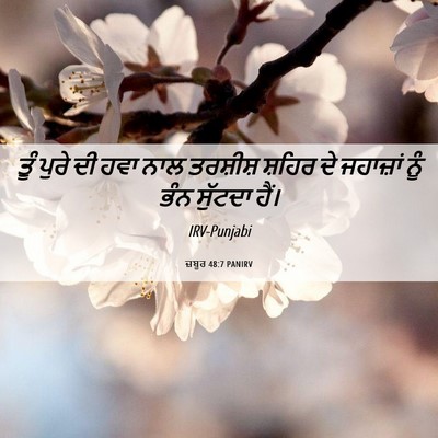 Picture 06 - ਜ਼ਬੂਰ 48:7 PANIRV - ਤੂੰ ਪੁਰੇ ਦੀ ਹਵਾ ਨਾਲ - Bible Verse Picture