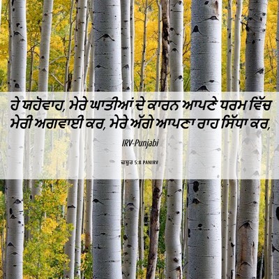 Picture 06 - ਜ਼ਬੂਰ 5:8 PANIRV - ਹੇ ਯਹੋਵਾਹ, ਮੇਰੇ - Bible Verse Picture