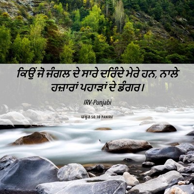 Picture 06 - ਜ਼ਬੂਰ 50:10 PANIRV - ਕਿਉਂ ਜੋ ਜੰਗਲ ਦੇ - Bible Verse Picture