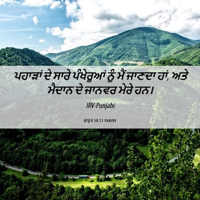 Picture 06 - ਜ਼ਬੂਰ 50:11 PANIRV - ਪਹਾੜਾਂ ਦੇ ਸਾਰੇ - Bible Verse Picture