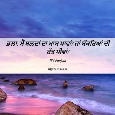 Picture 06 - ਜ਼ਬੂਰ 50:13 PANIRV - ਭਲਾ, ਮੈਂ ਬਲ਼ਦਾਂ ਦਾ - Bible Verse Picture