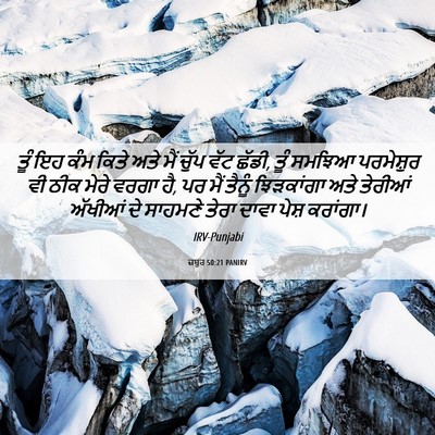 Picture 06 - ਜ਼ਬੂਰ 50:21 PANIRV - ਤੂੰ ਇਹ ਕੰਮ ਕਿਤੇ ਅਤੇ - Bible Verse Picture