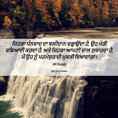 Picture 06 - ਜ਼ਬੂਰ 50:23 PANIRV - ਜਿਹੜਾ ਧੰਨਵਾਦ ਦਾ - Bible Verse Picture