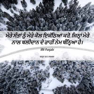 Picture 06 - ਜ਼ਬੂਰ 50:5 PANIRV - ਮੇਰੇ ਸੰਤਾਂ ਨੂੰ - Bible Verse Picture