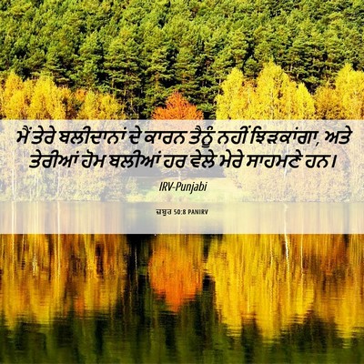 Picture 06 - ਜ਼ਬੂਰ 50:8 PANIRV - ਮੈਂ ਤੇਰੇ ਬਲੀਦਾਨਾਂ - Bible Verse Picture