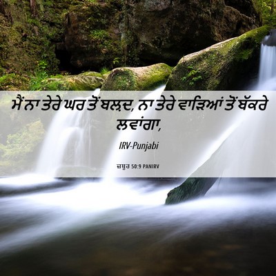 Picture 06 - ਜ਼ਬੂਰ 50:9 PANIRV - ਮੈਂ ਨਾ ਤੇਰੇ ਘਰ ਤੋਂ - Bible Verse Picture