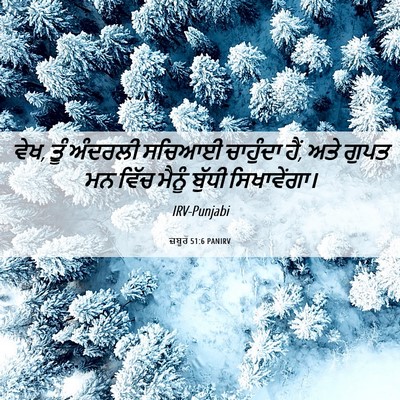Picture 06 - ਜ਼ਬੂਰ 51:6 PANIRV - ਵੇਖ, ਤੂੰ ਅੰਦਰਲੀ - Bible Verse Picture