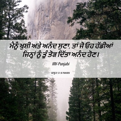 Picture 06 - ਜ਼ਬੂਰ 51:8 PANIRV - ਮੈਨੂੰ ਖੁਸ਼ੀ ਅਤੇ - Bible Verse Picture