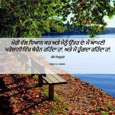Picture 06 - ਜ਼ਬੂਰ 55:2 PANIRV - ਮੇਰੀ ਵੱਲ ਧਿਆਨ ਕਰ - Bible Verse Picture
