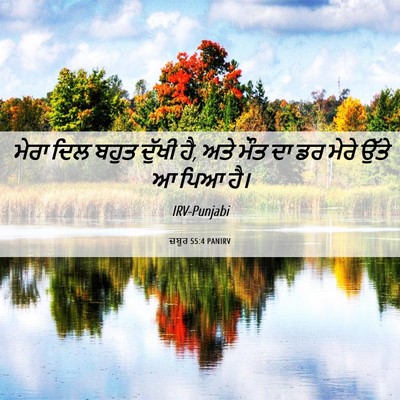 Picture 06 - ਜ਼ਬੂਰ 55:4 PANIRV - ਮੇਰਾ ਦਿਲ ਬਹੁਤ - Bible Verse Picture