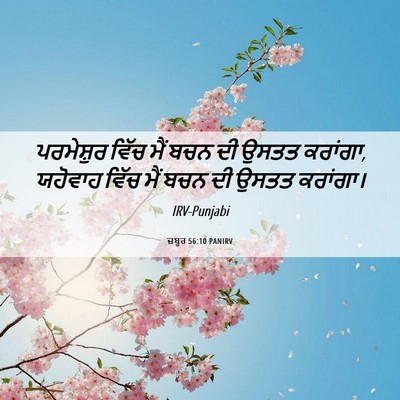 Picture 06 - ਜ਼ਬੂਰ 56:10 PANIRV - ਪਰਮੇਸ਼ੁਰ ਵਿੱਚ ਮੈਂ - Bible Verse Picture
