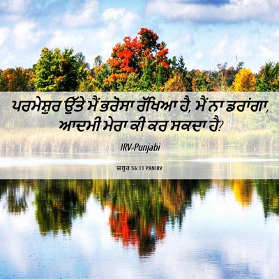 Picture 06 - ਜ਼ਬੂਰ 56:11 PANIRV - ਪਰਮੇਸ਼ੁਰ ਉੱਤੇ ਮੈਂ - Bible Verse Picture