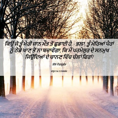 Picture 06 - ਜ਼ਬੂਰ 56:13 PANIRV - ਕਿਉਂ ਜੋ ਤੂੰ ਮੇਰੀ - Bible Verse Picture