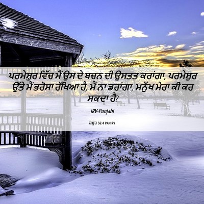 Picture 06 - ਜ਼ਬੂਰ 56:4 PANIRV - ਪਰਮੇਸ਼ੁਰ ਵਿੱਚ ਮੈਂ - Bible Verse Picture