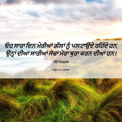 Picture 06 - ਜ਼ਬੂਰ 56:5 PANIRV - ਓਹ ਸਾਰਾ ਦਿਨ ਮੇਰੀਆਂ - Bible Verse Picture