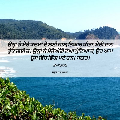 Picture 06 - ਜ਼ਬੂਰ 57:6 PANIRV - ਉਨ੍ਹਾਂ ਨੇ ਮੇਰੇ - Bible Verse Picture