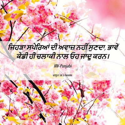 Picture 06 - ਜ਼ਬੂਰ 58:5 PANIRV - ਜਿਹੜਾ ਸਪੇਰਿਆਂ ਦੀ - Bible Verse Picture