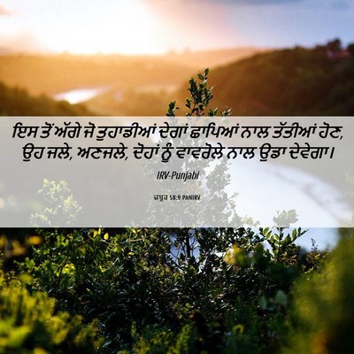 Picture 06 - ਜ਼ਬੂਰ 58:9 PANIRV - ਇਸ ਤੋਂ ਅੱਗੇ ਜੋ - Bible Verse Picture