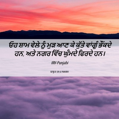 Picture 06 - ਜ਼ਬੂਰ 59:6 PANIRV - ਓਹ ਸ਼ਾਮ ਵੇਲੇ ਨੂੰ - Bible Verse Picture
